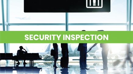 Security Inspection